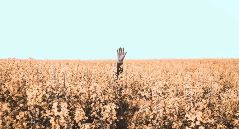 Startup Selina Strives To Secure Financing In The Midst Of A Hospitality Hurricane