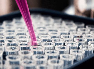 Brazilian Biotech Startup, Pluricell, Raises Us$1 Million To Combat Cardiovascular Disease