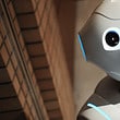 Ópera, the colombian social robot, prepares to compete in australia