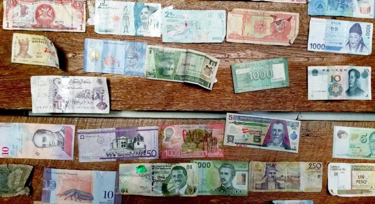 Currencybird Se Convierte En La Primera Compañía De Pagos Chilena En Unirse A La Plataforma De Ripplenet