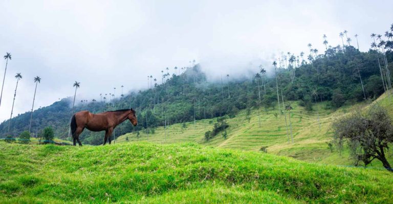 Hughes Network Y Facebook Traen Hotspots Wi-fi A Colombia Rural