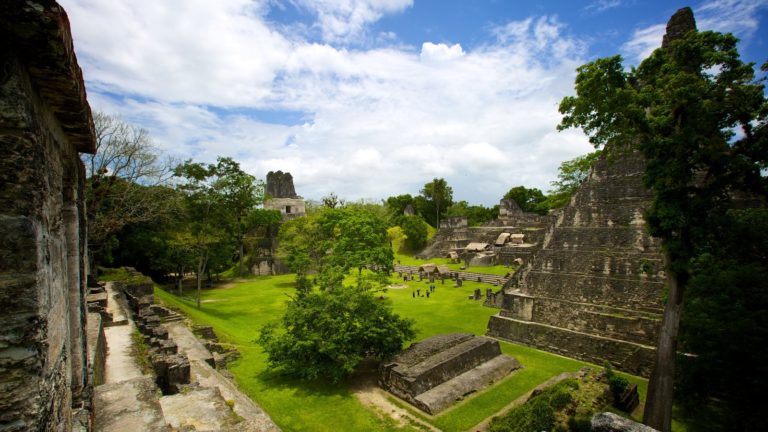 Guatemala Organiza Festival De Lenguas Indígenas En Internet