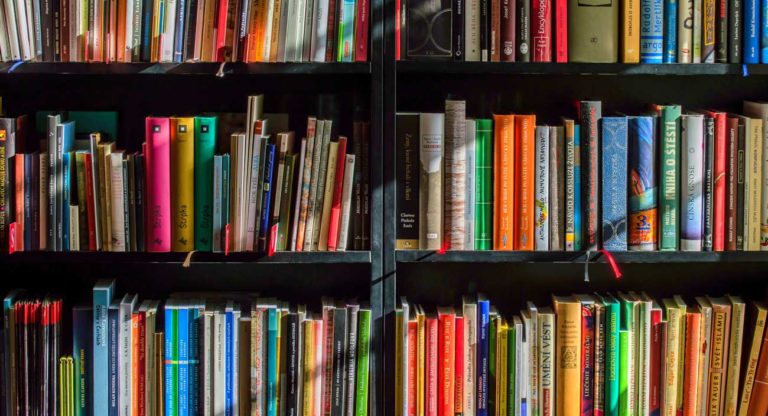 Kimche Se Coloca Como Semifinalista En Los  Global Edtech Startups Awards