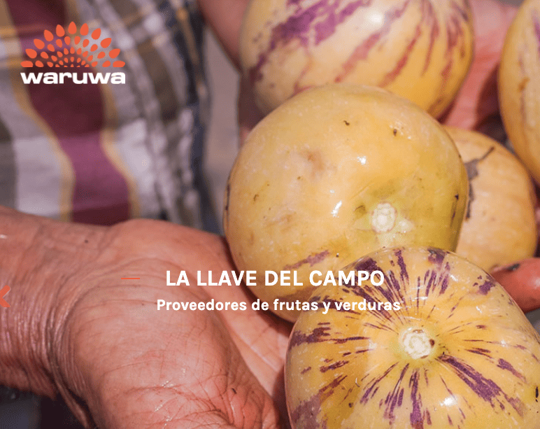 waruwa registra más de 1,000 proveedores de alimentos en colombia para transformar la cadena de suministro