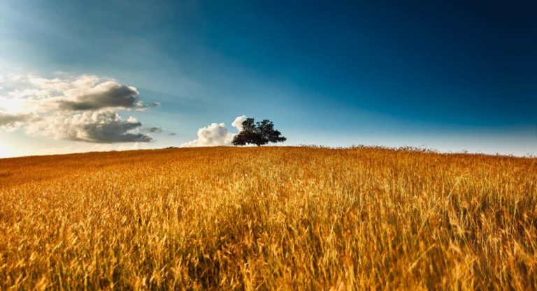 Waruwa Registra Más De 1,000 Proveedores De Alimentos En Colombia Para Transformar La Cadena De Suministro