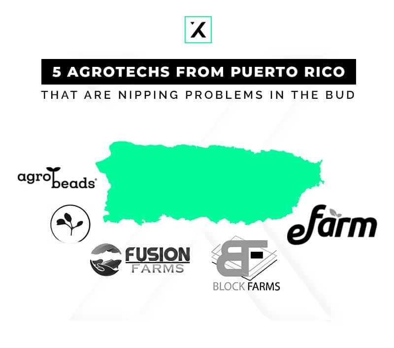 5 Puerto Rican Agrotechs Nipping Problems In The Bud