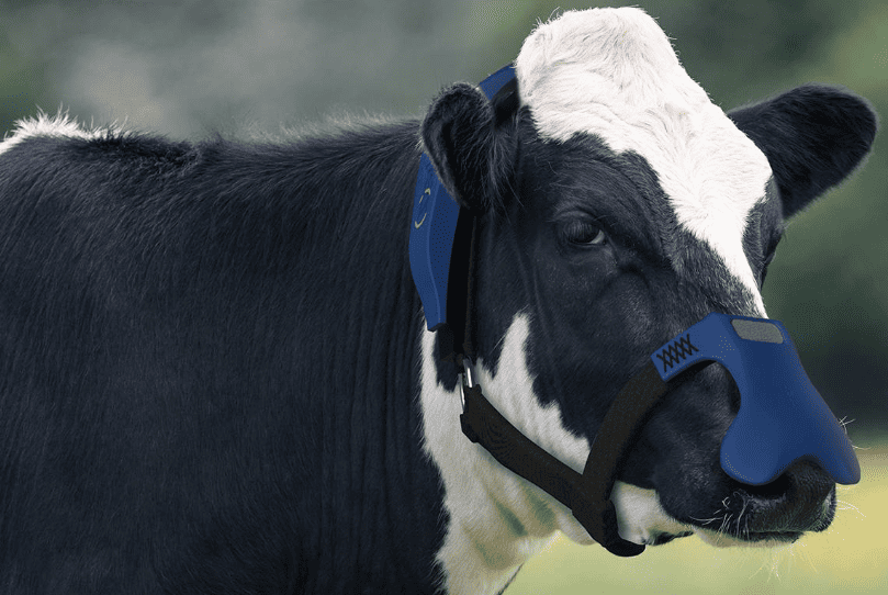 Zelp De Argentina Transforma El Metano De Eructos De Vacas En Co2, Expone En Agri-tech Week 2019