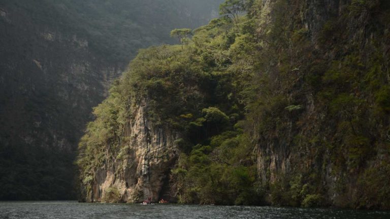 La Aventura Aguarda A Quienes Viajen Con La Startup Mexicana, Rutopía, Y Airbnb