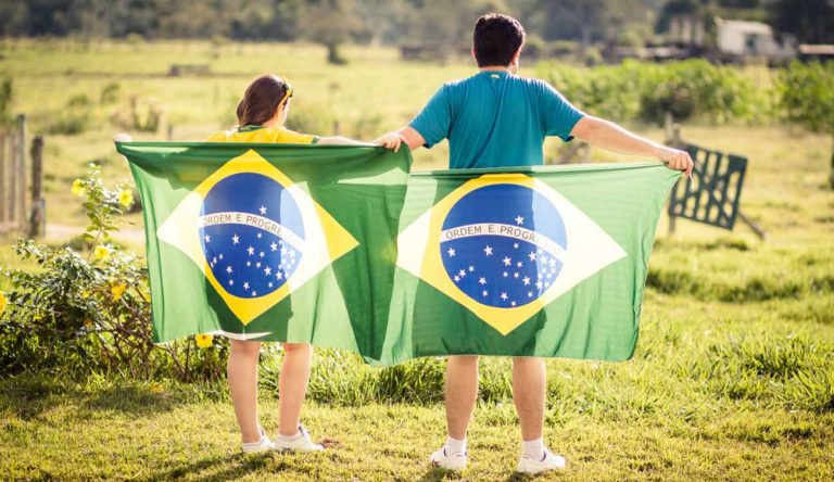 El Productor De Químicos Alemán, Basf, Le Inyecta Us$4 Millones Al Fondo De Agrotech Brasileño