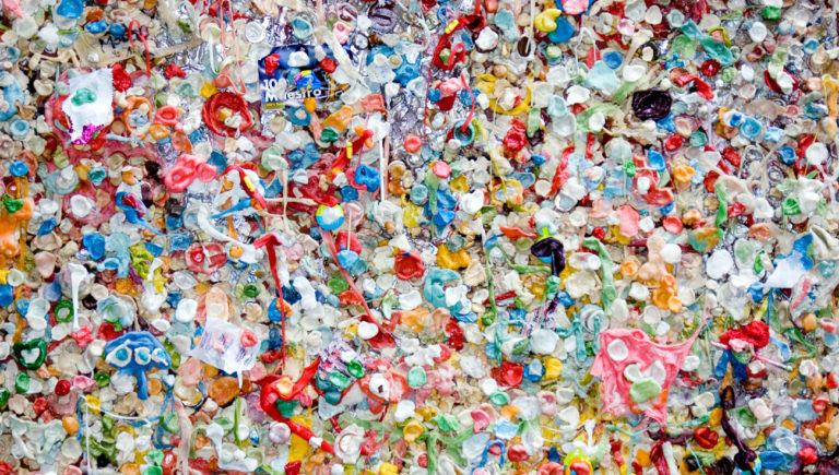 Plasticoin, La Criptomoneda Que Quiere Limpiar La Costa Uruguaya