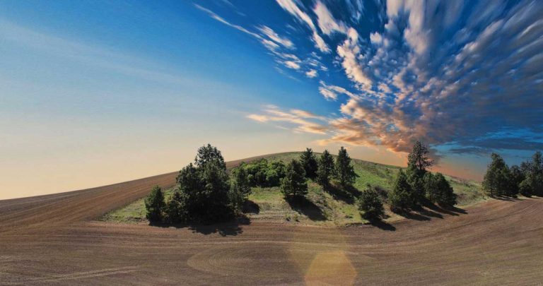 Basf Lanza A Agrostart En México Y América Central, Buscando Alimentarnos Sustentablemente En Un Futuro Más Escaso