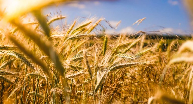 Agrired To Grow Out Its Platform To Brazil And Us