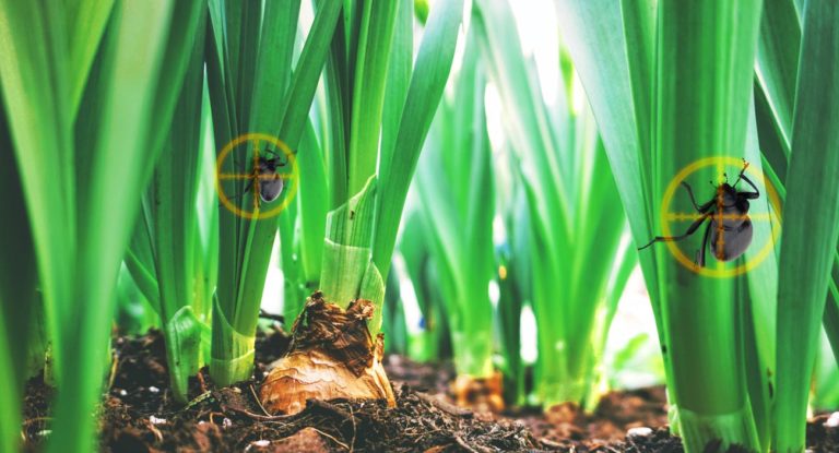 La Plataforma De Agropro Está Preparada (y Financiada) Para Combatir Las Plagas