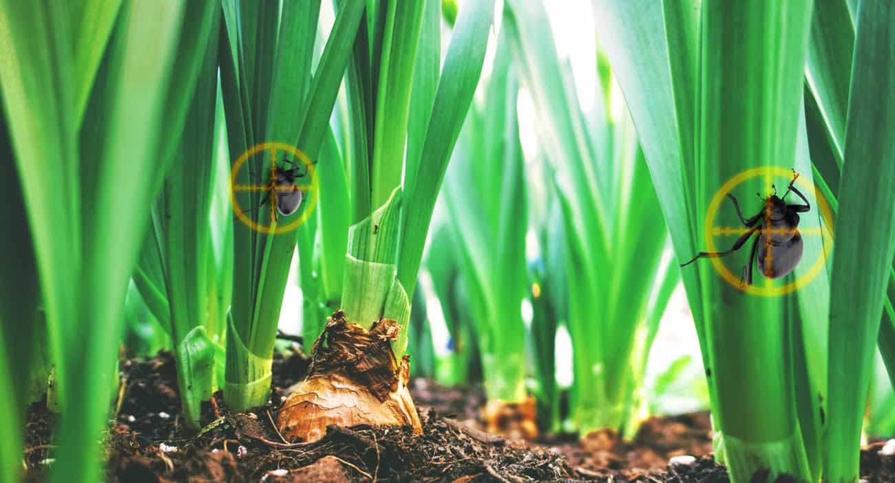 agropro’s platform poised with trivella m3 investimentos us$192,000 investment to fight pests