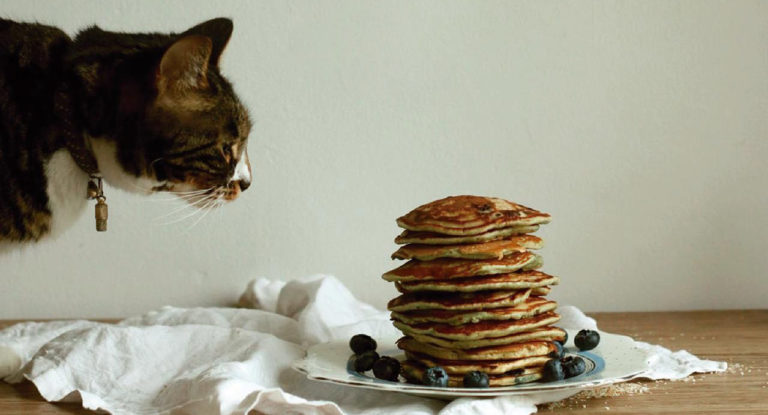 Foodtech Live Green Co’s Meteoric Rise Is Not About Plant-based Products But Massive Culture Shifts