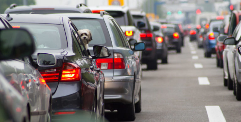 La Insurtech Crabi Recibe Inversión Semilla Liderada Por Kaszek