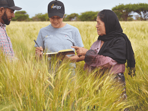 Verqor logró recaudar USD$7.5 millones, de los cuales USD$4 millones corresponden a una ronda pre-Serie A liderada por Yara Growth Ventures. 