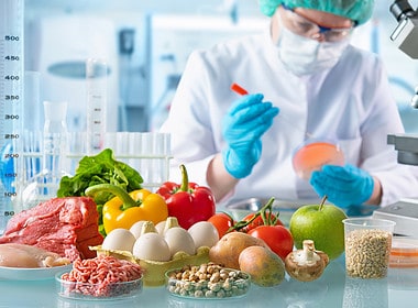 Brazil laboratory foodtech