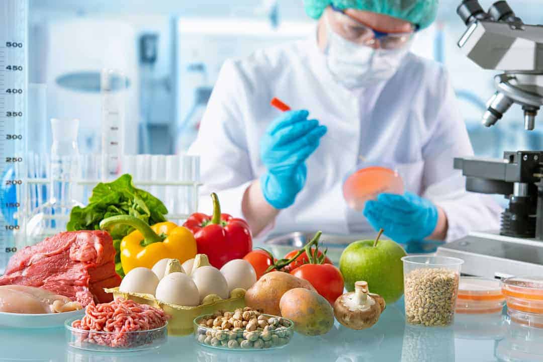 Brazil laboratory foodtech