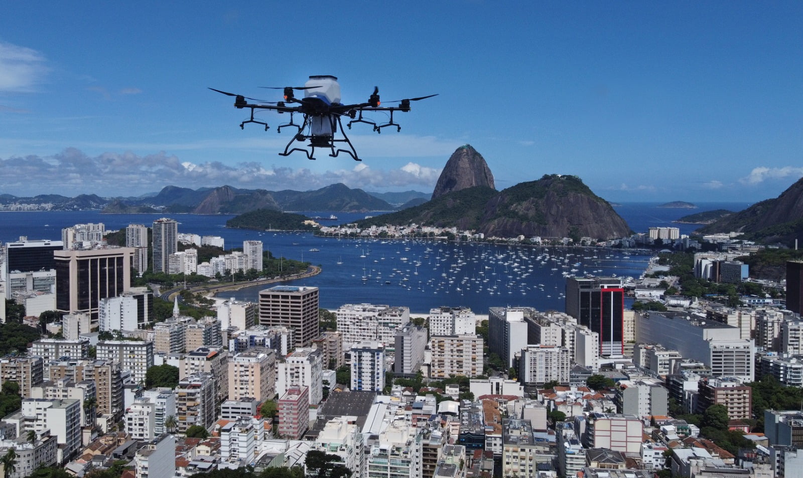 Morfo Aprimora O Reflorestamento No Rio Usando Tecnologia De Drones