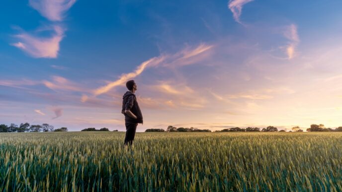 man on grass field looking at sky