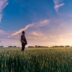 man on grass field looking at sky